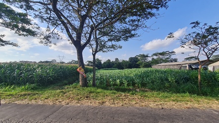 473, 085100008605,.jpg