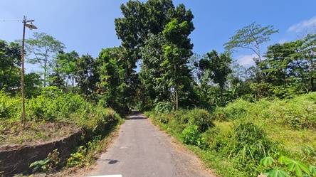 468, pak joko, 900m, 350rb, pusporenggo, 0811963030.jpg