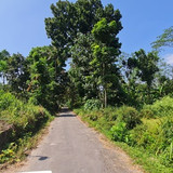 468, pak joko, 900m, 350rb, pusporenggo, 0811963030