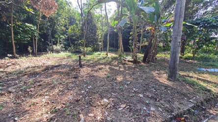 460, 2000m, 450rb, pak markum.jpg