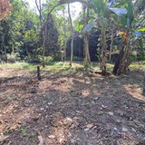 460, 2000m, 450rb, pak markum