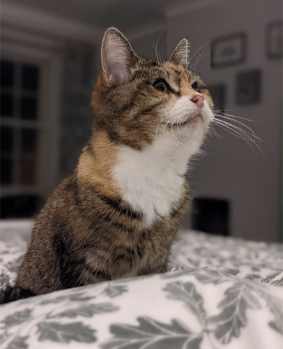 Screenshot 20230611 142527