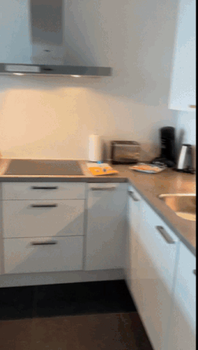 image.gif