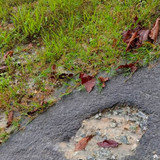 WhatsApp Image 2023 06 14 at 8.49.16 AM.jpg