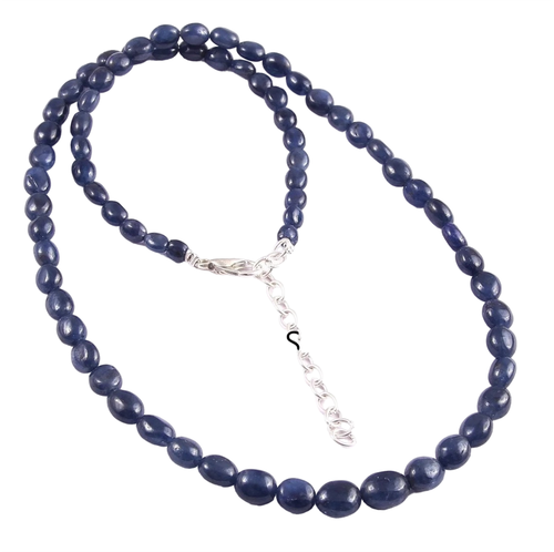 ap.1 31 11zon PhotoRoom.png PhotoRoom.png