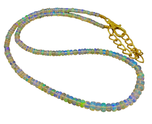 am.1 25 11zon PhotoRoom.png PhotoRoom.png