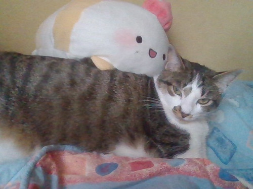 IMG 20230611 124855.jpg