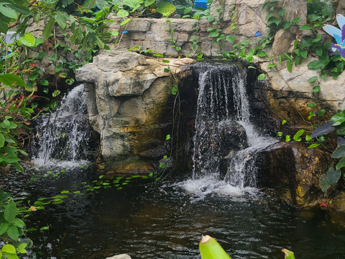 20230214 120505[4678].jpg