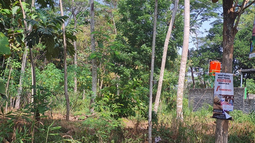 570m, 500jt, edi, 490.jpg