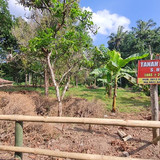 499, ibu yul, 2400m, 800rb permeter, musuk