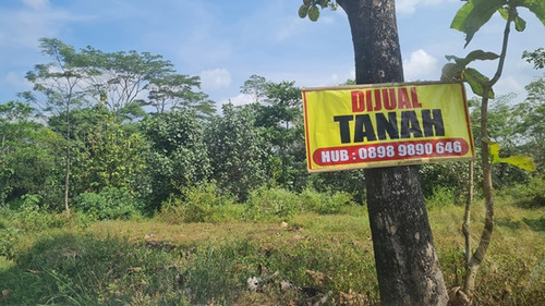 495, 2000m, 750rb permeter, yohana, winong, jln 4 meter.jpg