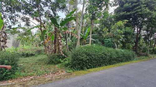 497, pak darsono, 800m, 500jt, ds winong.jpg