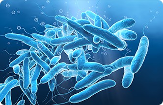 faaa4e80 f79d 45cf b8c9 f88d34cc51b3.jpg