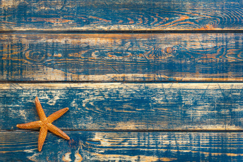 Wooden Sea Starfish.jpg