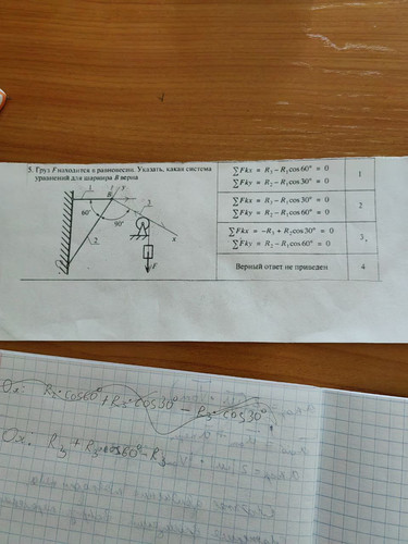 file 372.jpg