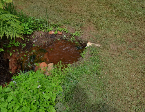 bd779b4a0242.png