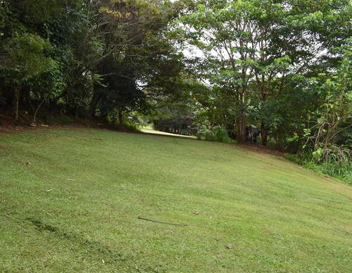 16502a283a4e.png