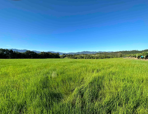 a05ceb360a81.png