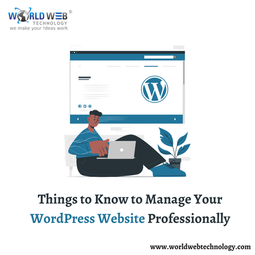 Things to Know to Manage Your WordPress Website Professionally.png