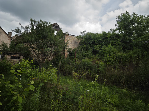 IMG 20230610 152347.jpg