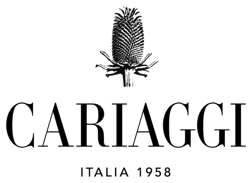 logo cariaggi.png