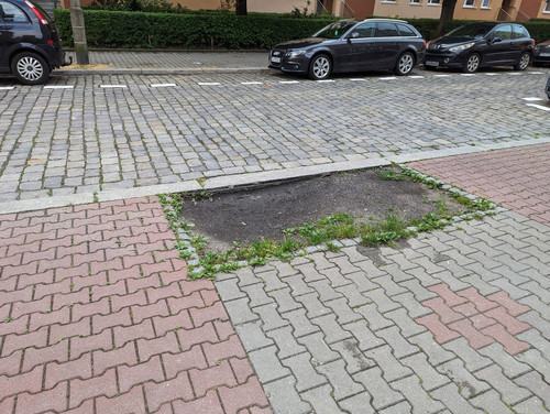 PXL 20230610 064950576.jpg