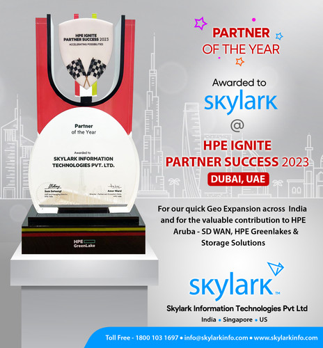 HPE Partner of the Year Award 2023.jpg