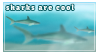 IMG 8411.png