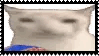 IMG 8408.gif