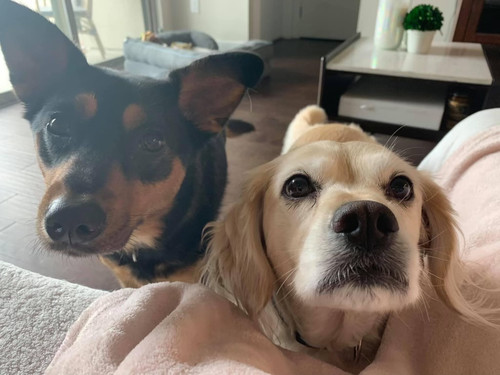 06191A71 549B 4266 93E9 0D8798AA1AC5