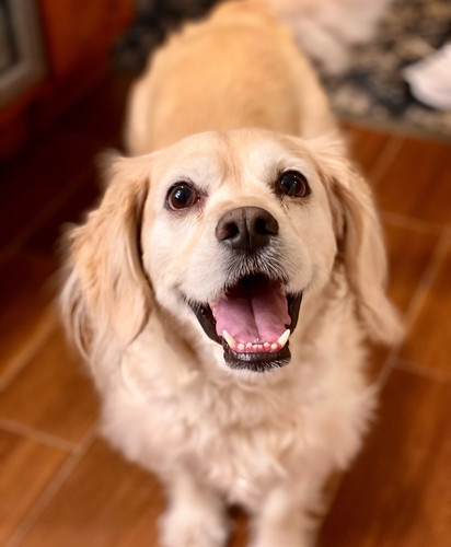 29A1AC8B B7FB 49D2 A3BD 72A617BD7091