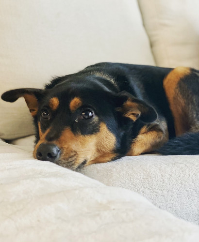 BE42A5B4 4BB7 474B 9855 0A90B89A9835