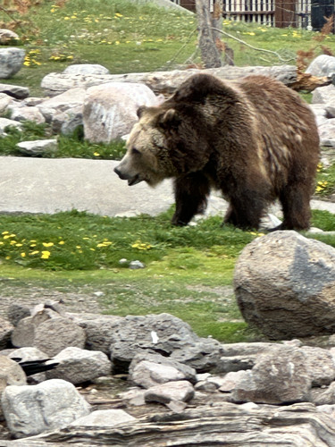 IMG 0484.jpg