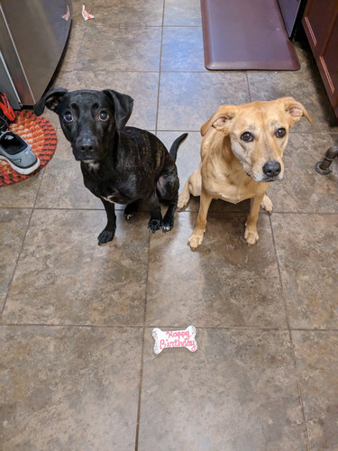 PXL 20230531 015430429