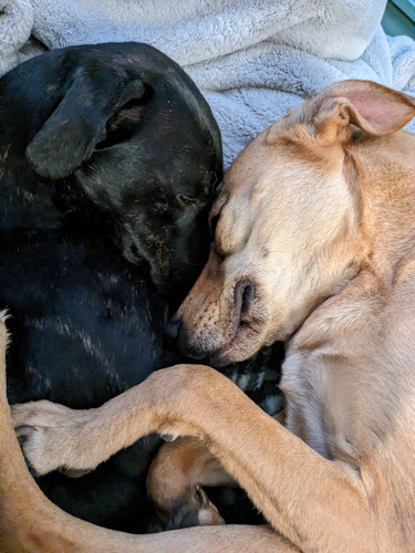 PXL 20230423 042801513