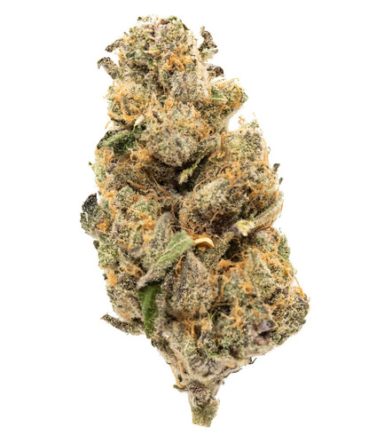 Mimosa Inspiration.jpg