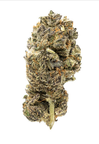 Tropical Sunrise.jpg