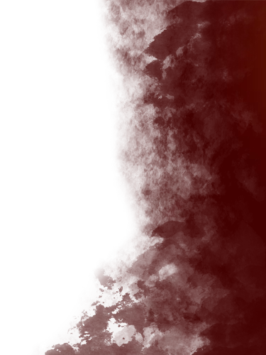 bg top pattern.webp