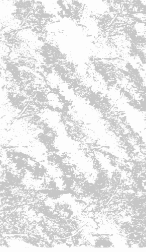 texture bg pattern.webp
