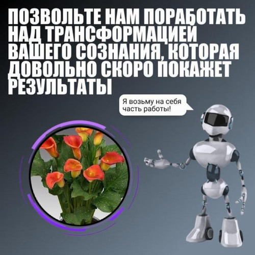 1686507191 940139651.jpg