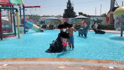 IMG 2460.jpg