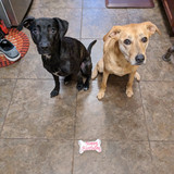 PXL 20230531 015430429