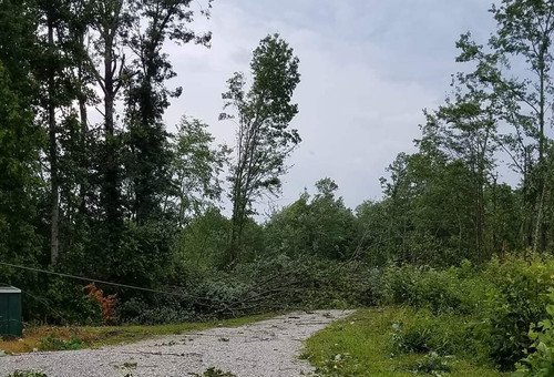 Screenshot 20230611 191948 Facebook.jpg