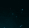 standard (1).gif