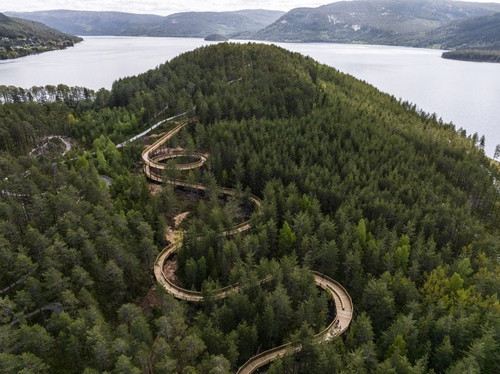 Above trees walkway