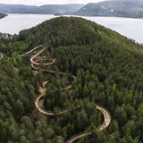 Above trees walkway