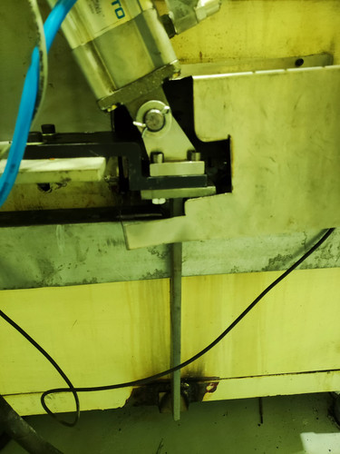 IMG 20230608 131016.jpg