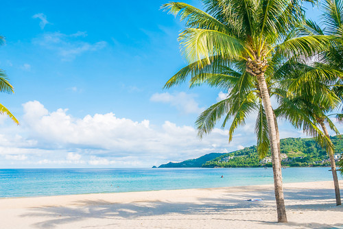 tropical beach.jpg