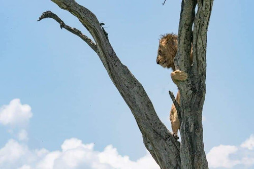 FB IMG 1686580575150.jpg