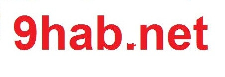 309864403 101271999435628 5340991432631853138 n.jpg